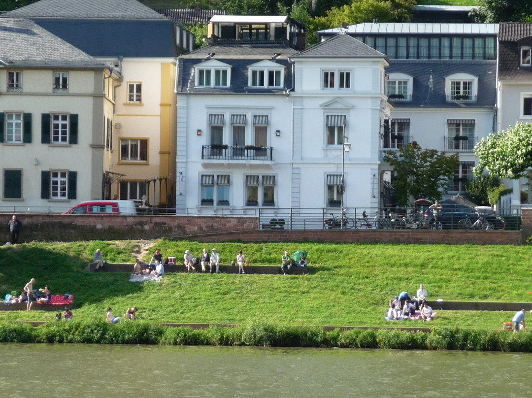 Neckarwiese Heidelberg-海德尔堡必去景点