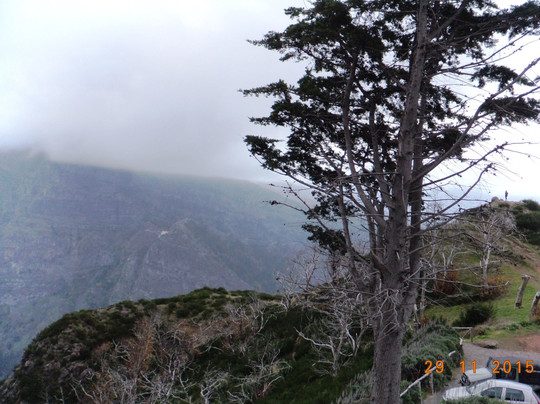 Madeira's Magic Tours-沙尔必去景点