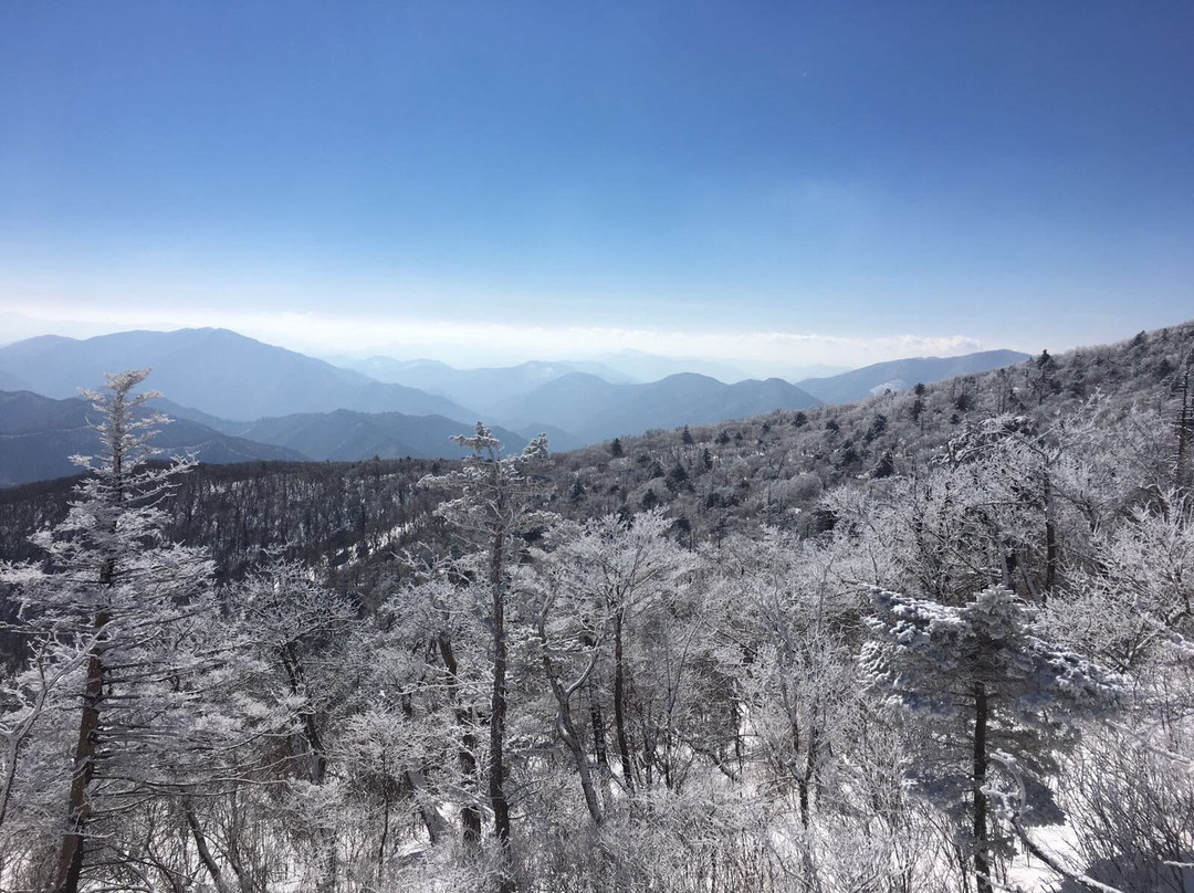 Mona Yongpyong Ski Resort景点图片