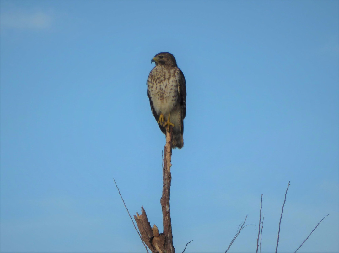 Lake Jesup Conservation Area-Oviedo必去景点