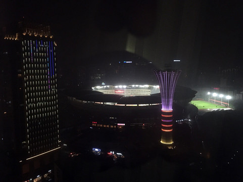 君逸康年大酒店主图