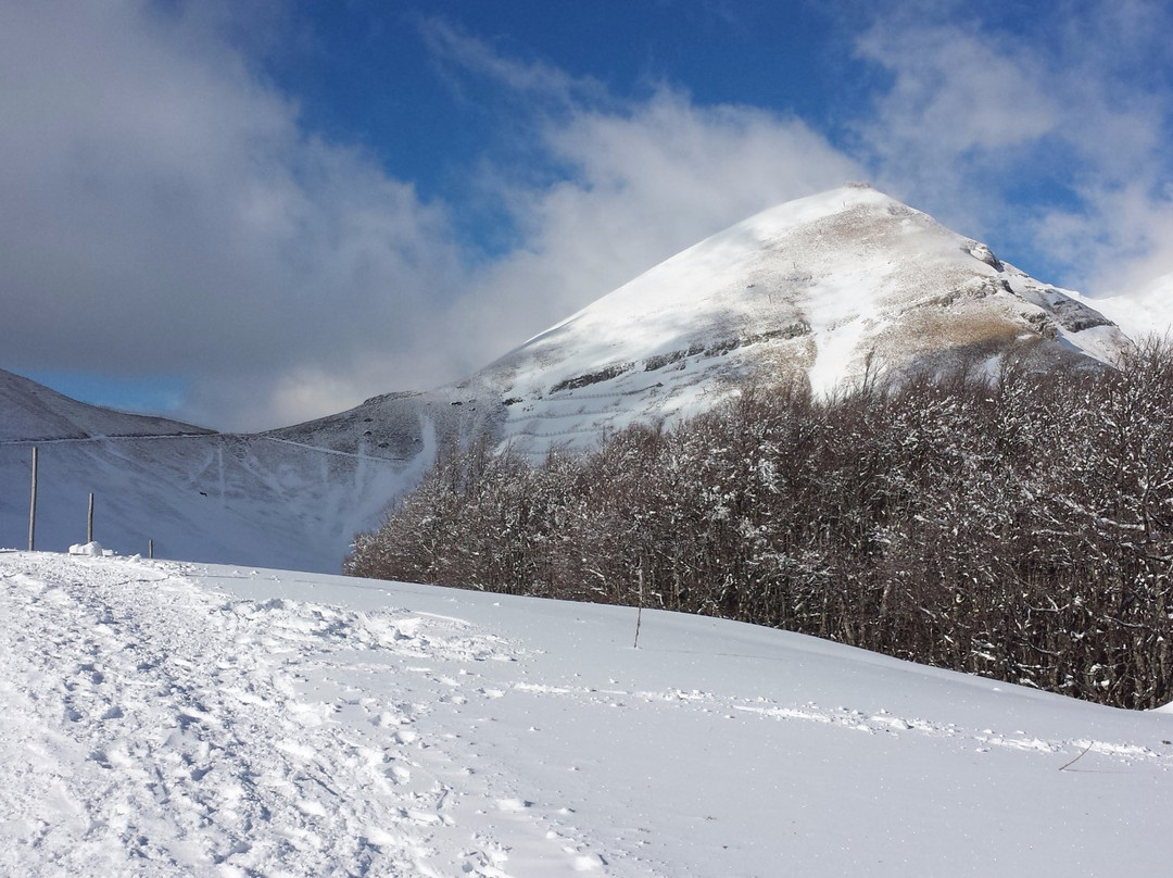 Piste da Fondo Cinque Confini景点图片