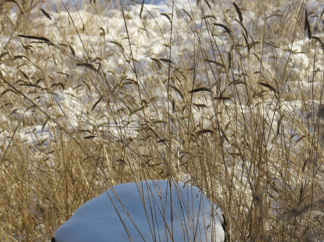 Labyrinth Farm-坎卢普斯必去景点