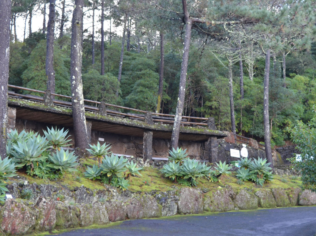 Reserva Florestal de Recreio da Prainha-Sao Roque do Pico必去景点