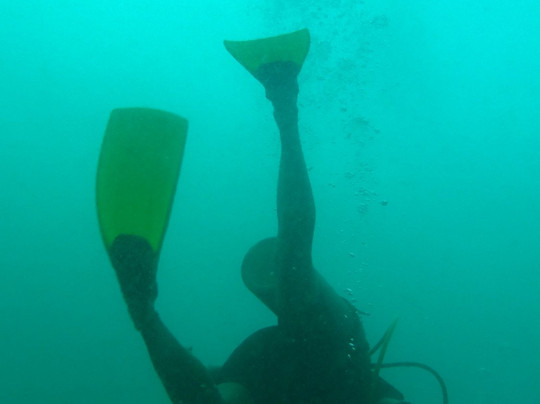 Coco Motion-低地必去景点