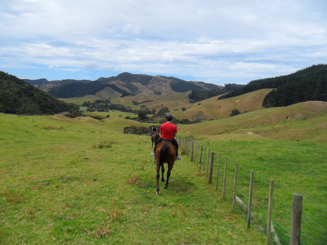 Colville Farm Holidays Horse Trekking-科罗曼德必去景点