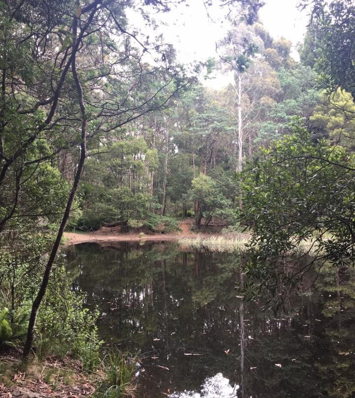 Sanatorium Lake-马其顿山必去景点