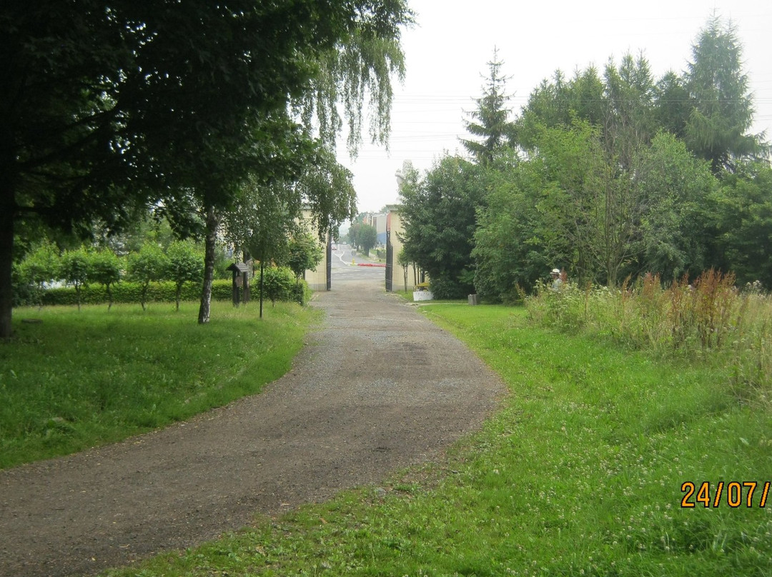 Jan III Sobieski Park景点图片