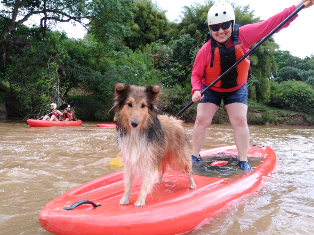 D' pe na Prancha-索科罗必去景点