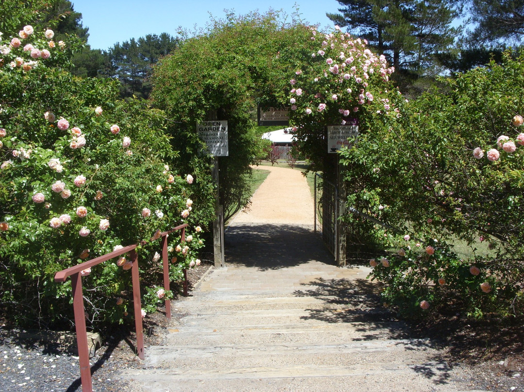 Sutton旅游攻略图片