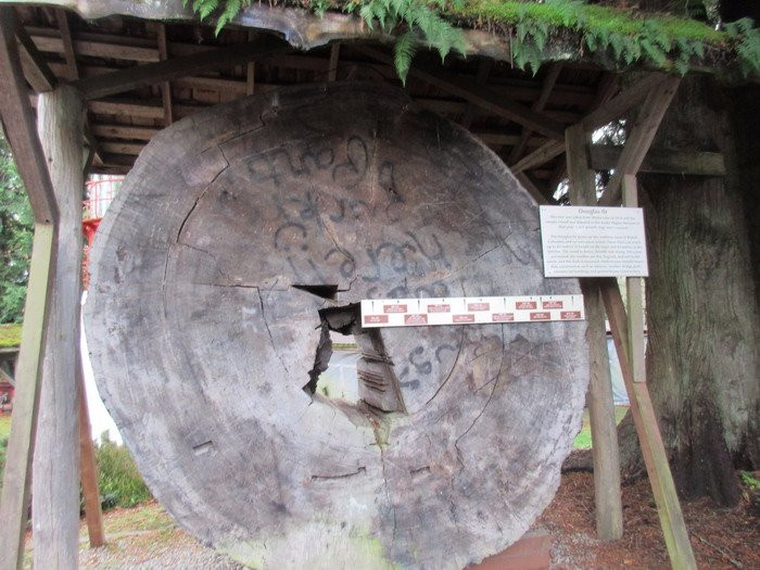 Sooke Region Museum & Visitor Centre景点图片