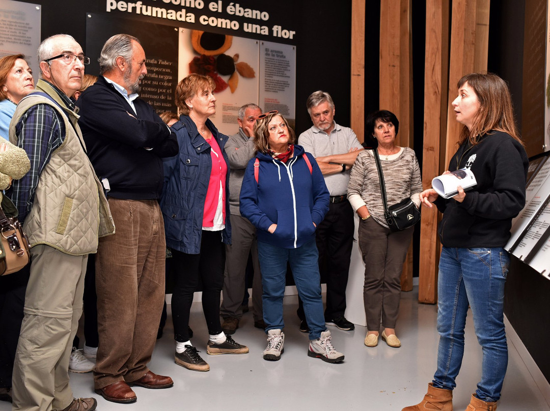 Truffle Museum-Metauten必去景点