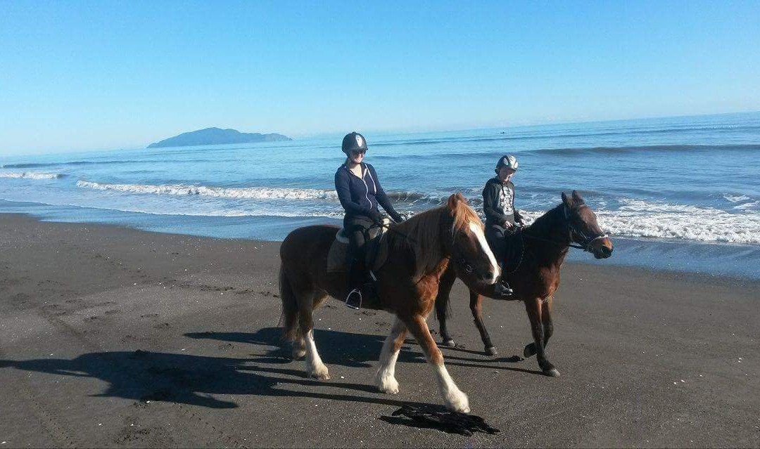 Beachbrook Riding Stables景点图片