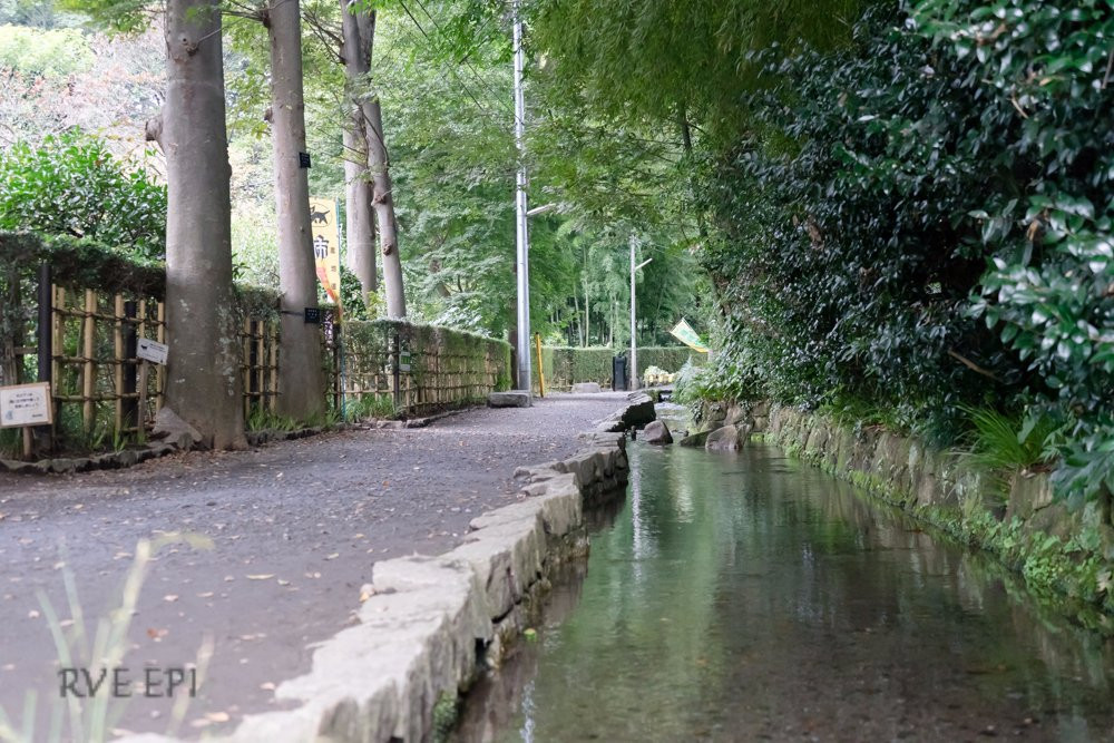 Masugata no Ike Group of Springs/Otaka no Michi