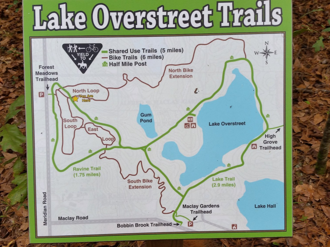 Lake Overstreet Trail-塔拉哈西必去景点