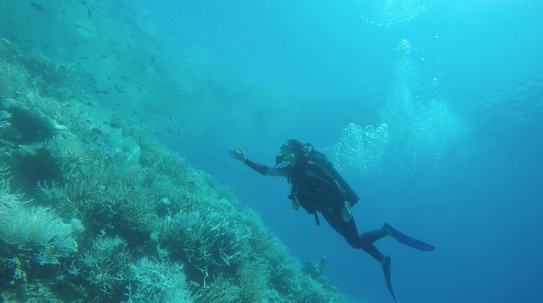 Dive Kingdom International-马累必去景点