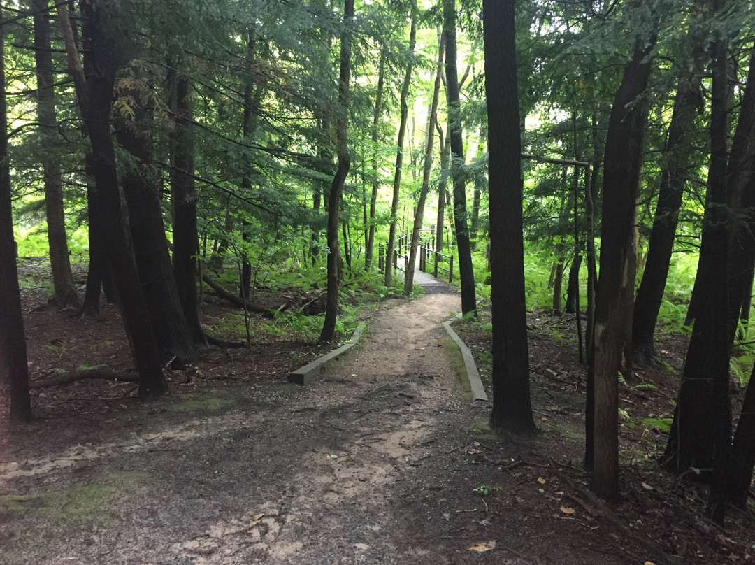 Pigeon Creek County Park-West Olive必去景点