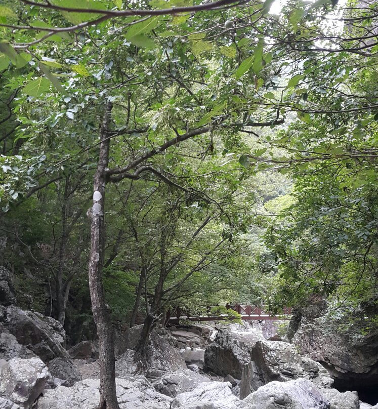 Sinbulsan Falls Recreational Forest-蔚山必去景点