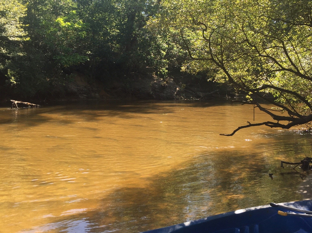Canoe Passion景点图片