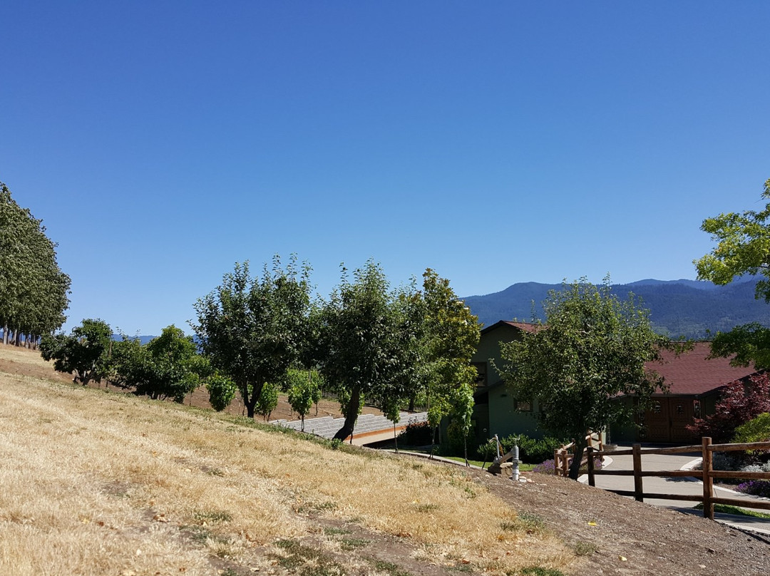 Dana Campbell Vineyards-阿什兰必去景点