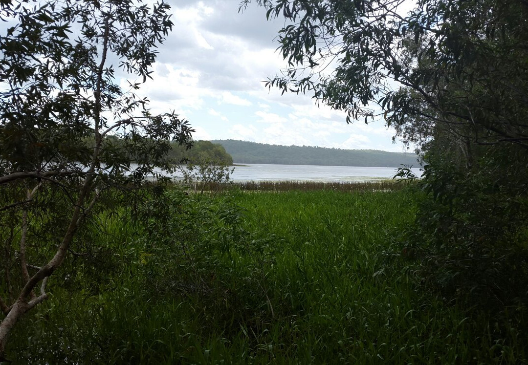 Manton Dam-达尔文市必去景点