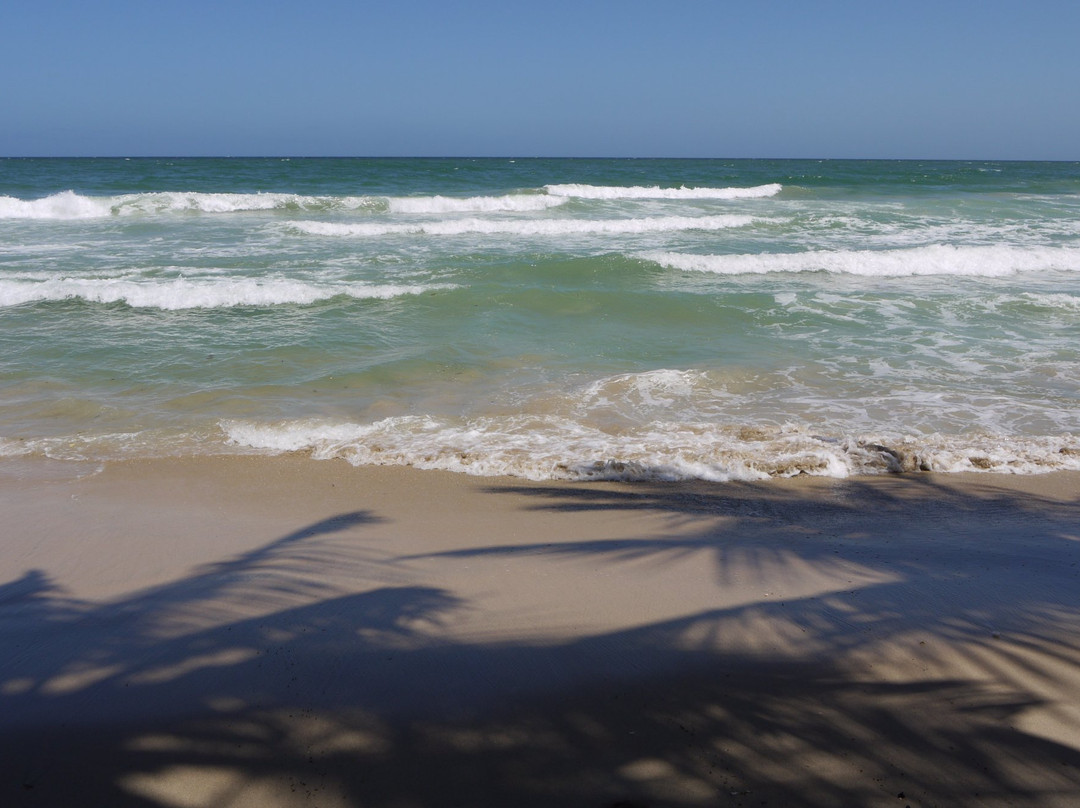 Playa El Tirano景点图片
