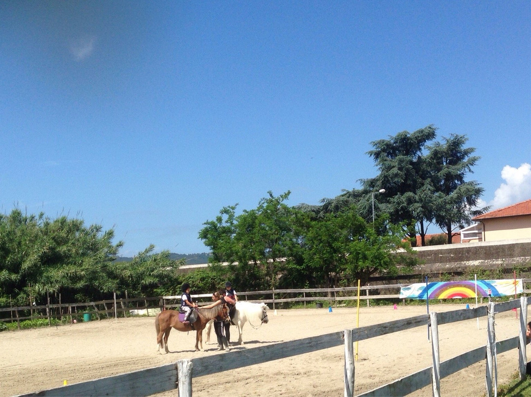 Centro Ippico Pegaso景点图片