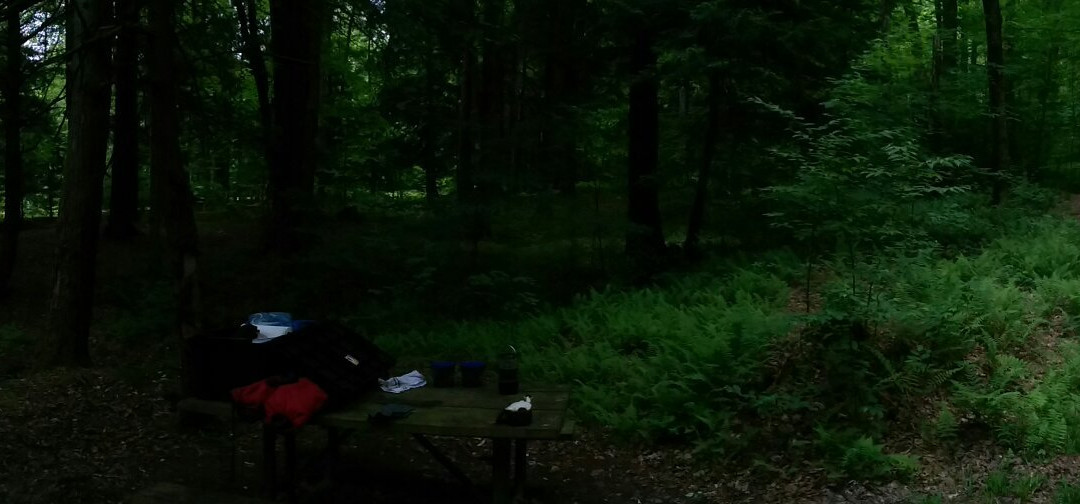 Chapman State Park-Clarendon必去景点