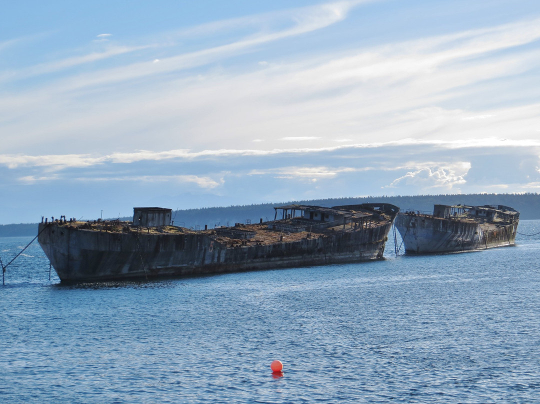 The Giant Hulks-鲍威尔里弗必去景点
