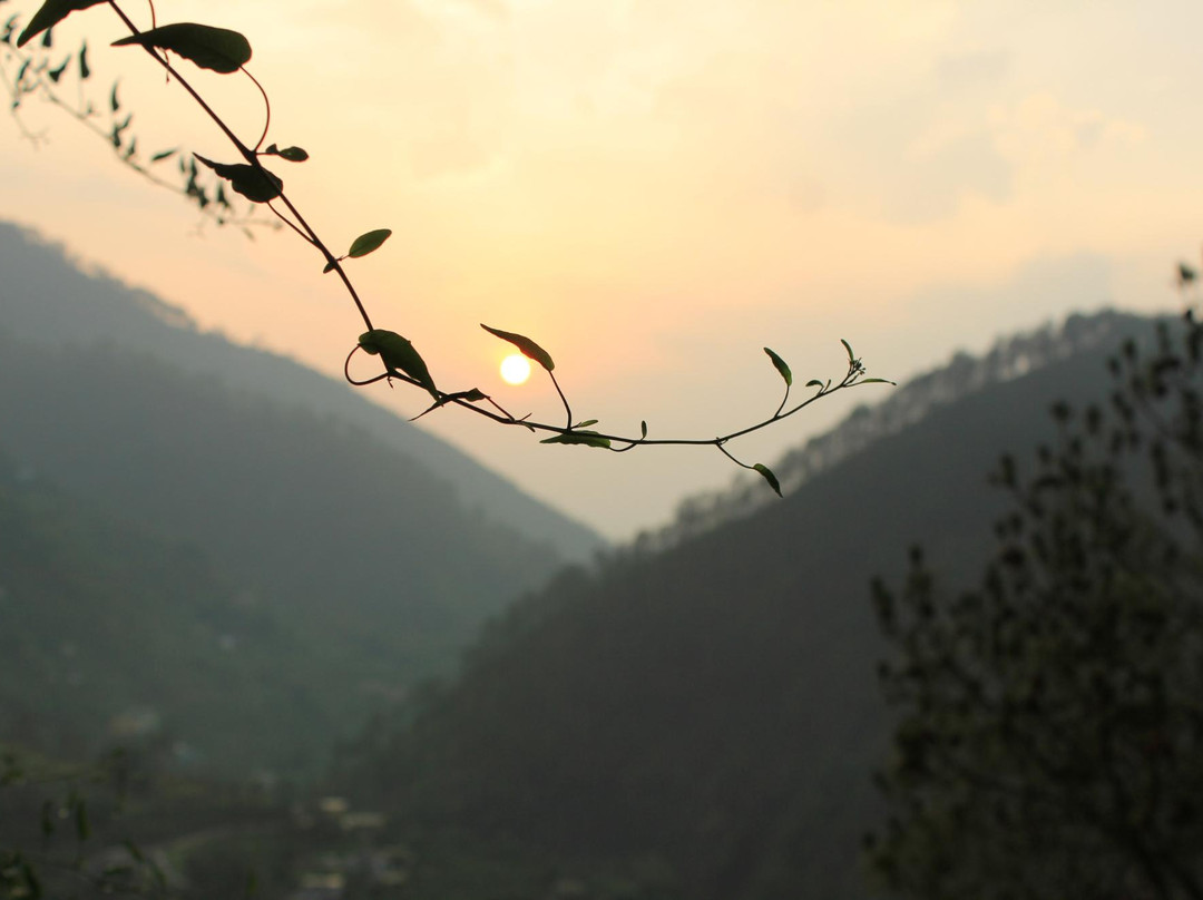 Himalayan Center of Sri Aurobindo Ashram景点图片
