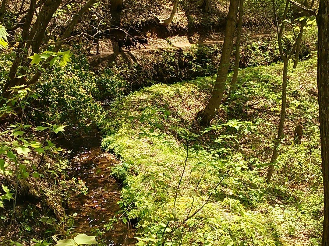 Tajima Kogen Botanical Garden-香美町必去景点