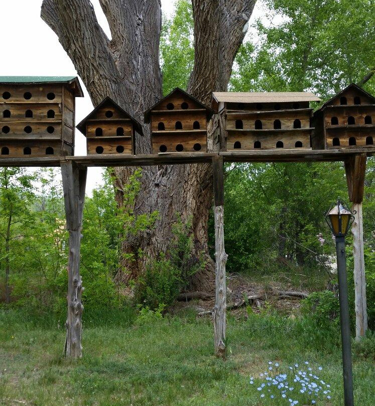 Mabel Dodge Luhan Historic House-道师城必去景点