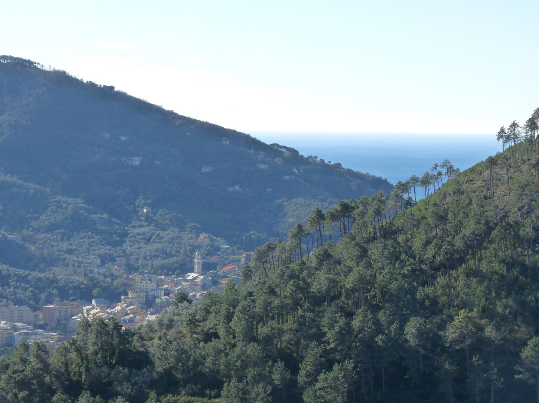 Tuvo Agriturismo主图