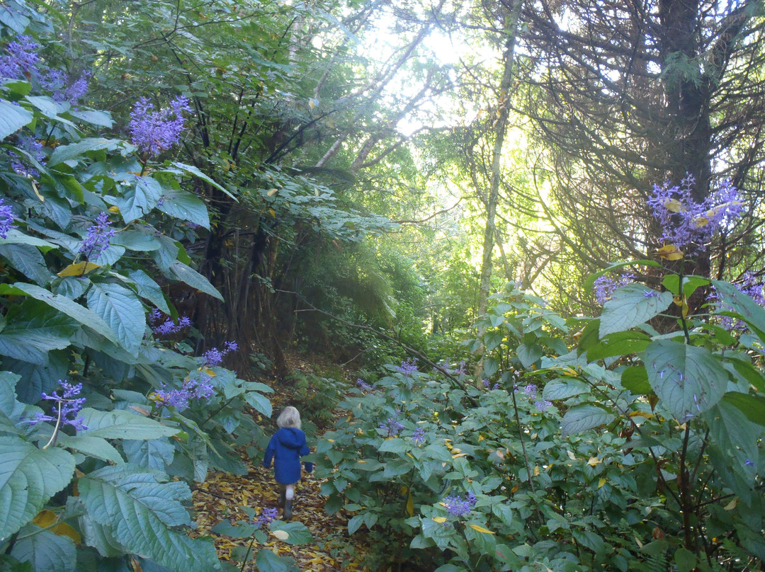 Blackberry Hill Farm景点图片