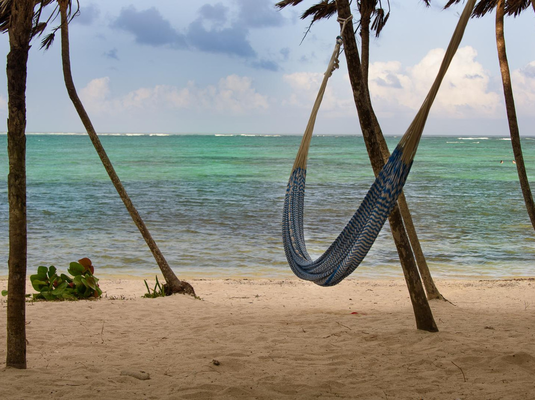 Sidecar Adventures-图伦必去景点