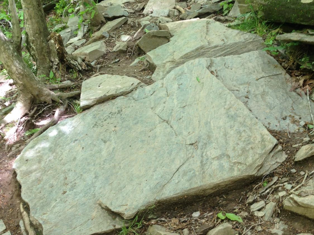Bull Run - Occoquan Trail景点图片