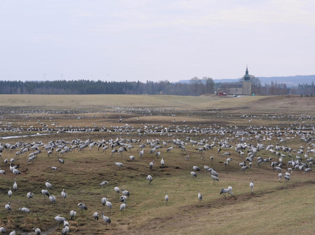 Bjurum Kyrka景点图片