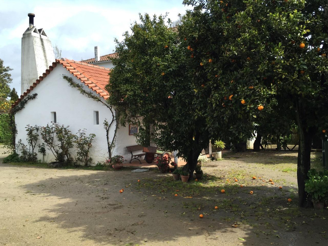 Quinta da Fata