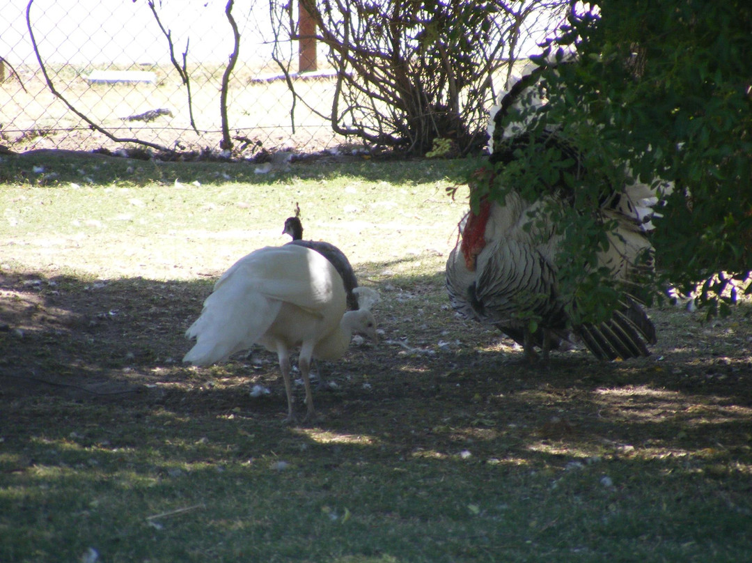 Santa Ana River Lakes-阿纳海姆必去景点