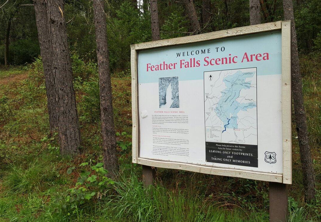 Feather Falls Scenic Trail景点图片