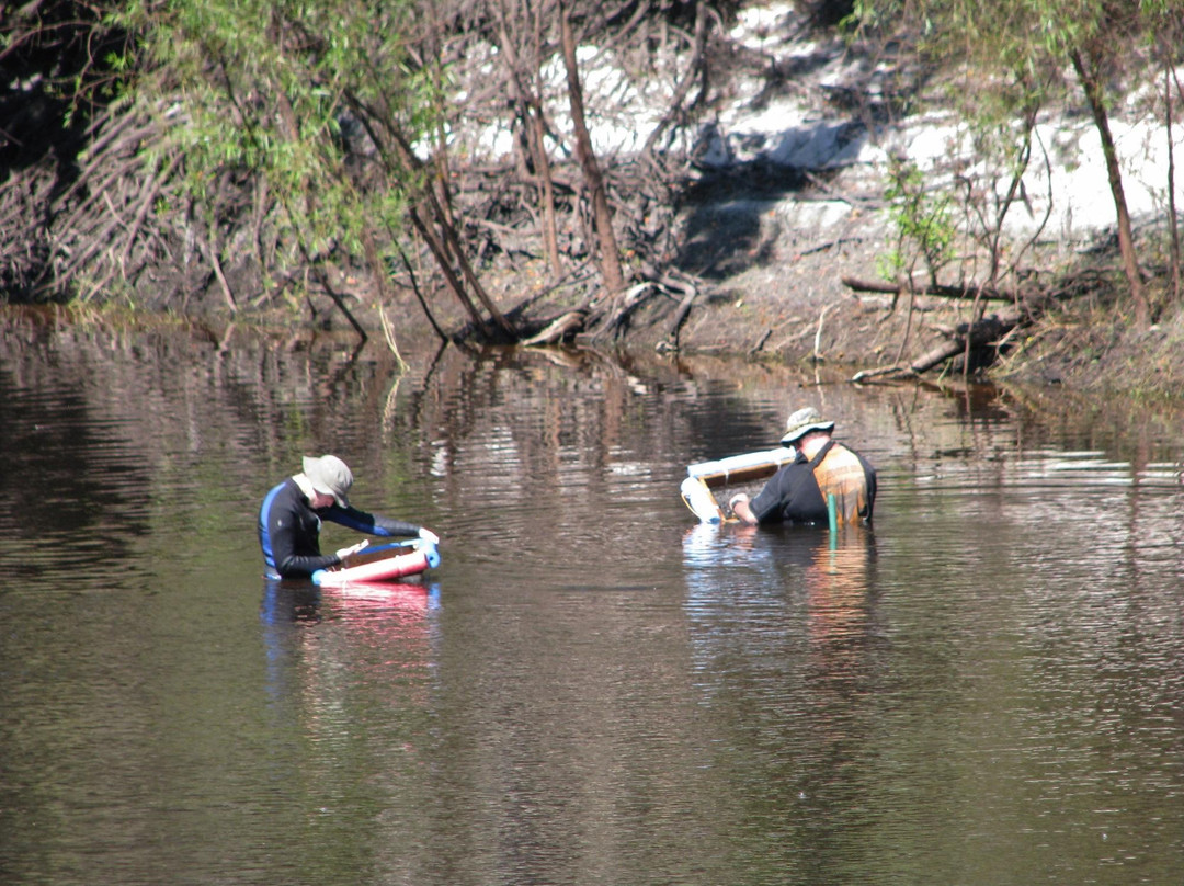 Brownville Park-阿卡迪亚必去景点