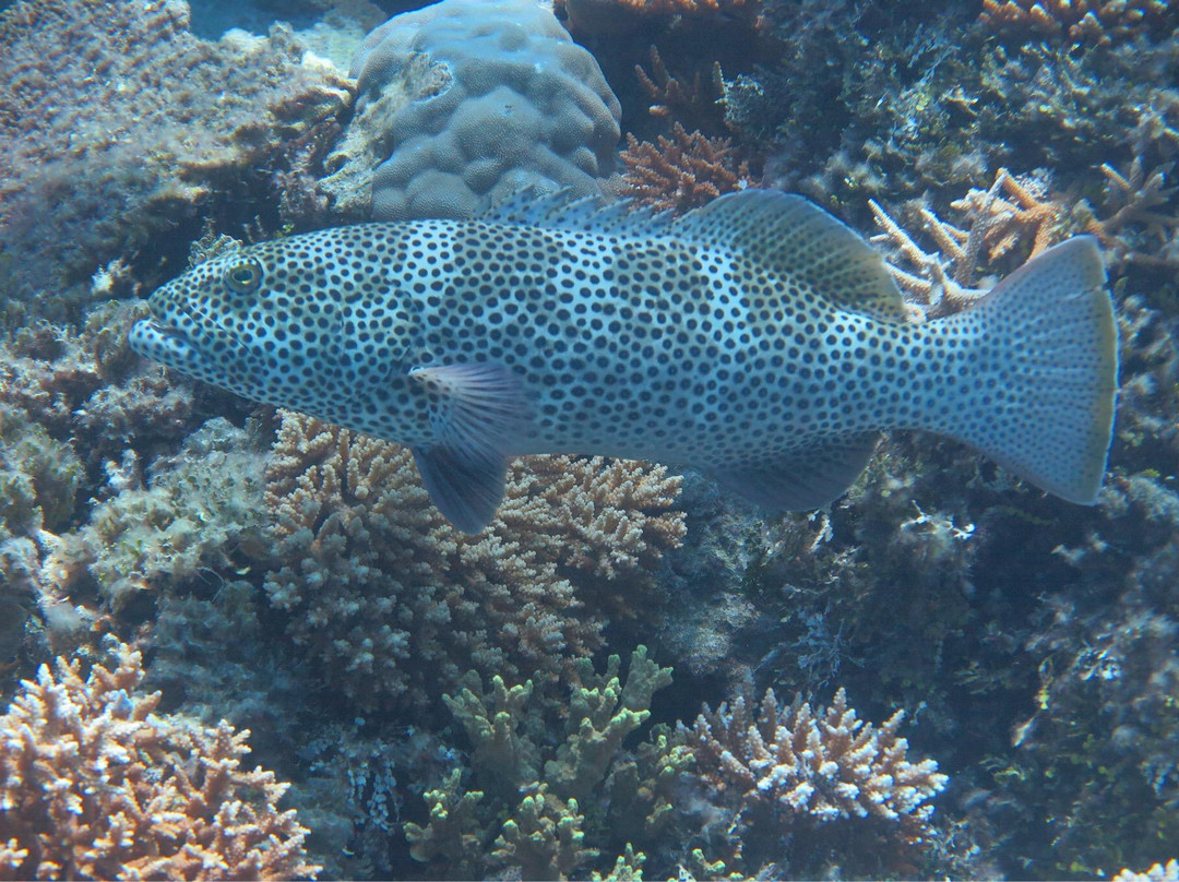 HP暗礁-满月岛必去景点