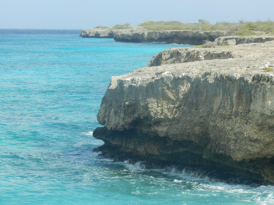 Kralendijk旅游攻略图片