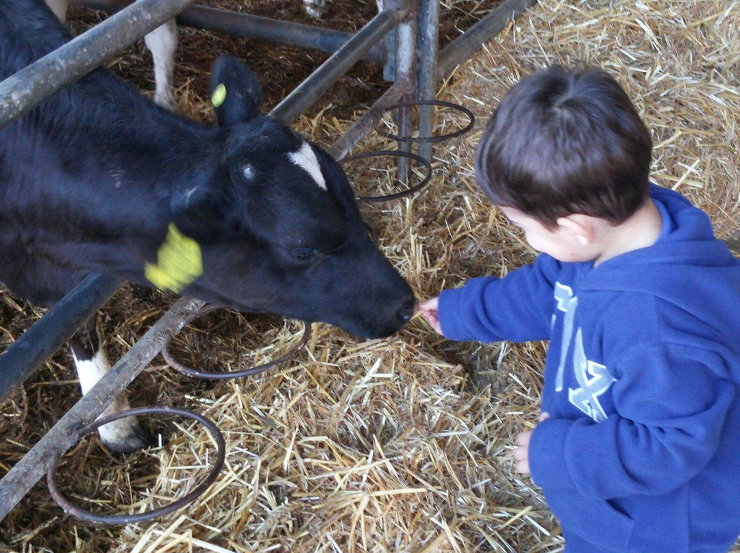 Kurlander Farm-Beit Hillel必去景点