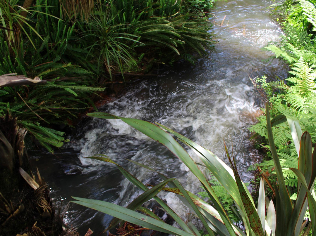 Ahiawa Chalets Limited主图