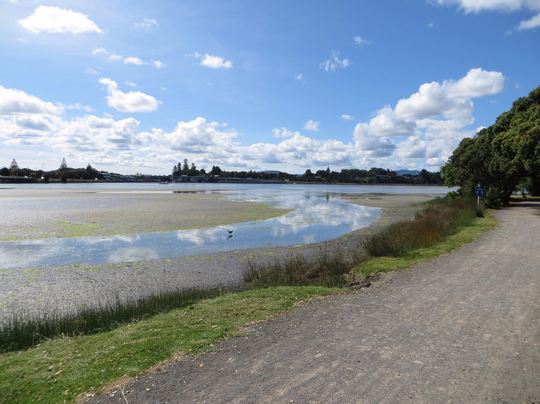 Waikareao Estuary景点图片