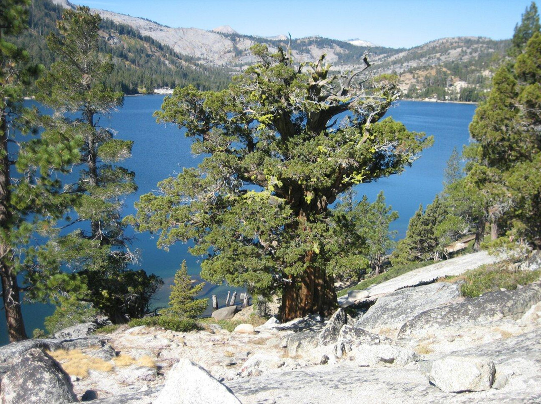 Echo Lakes Hiking Trail-太浩湖必去景点