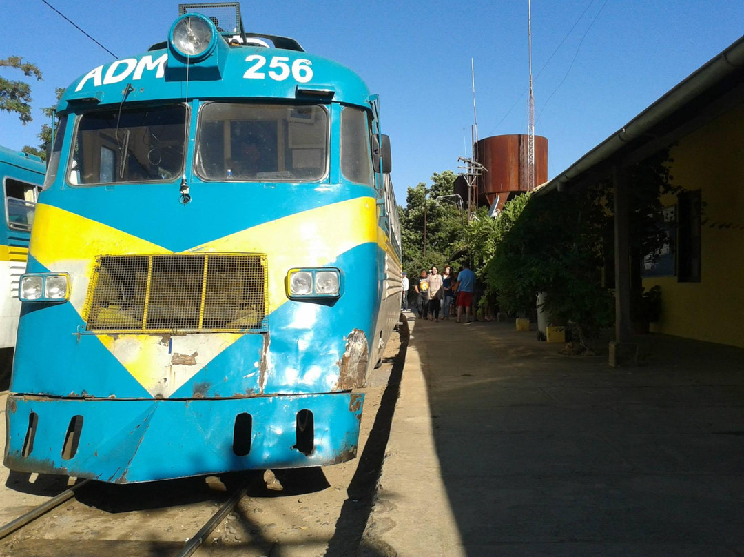Ramal Talca - Constitucion - Train