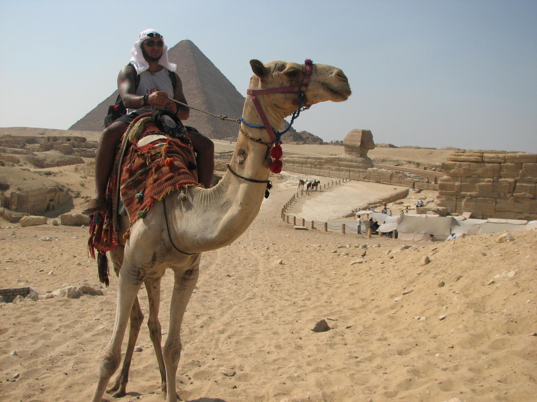 Nature Travel Egypt Tour - Day Tours-努威巴必去景点