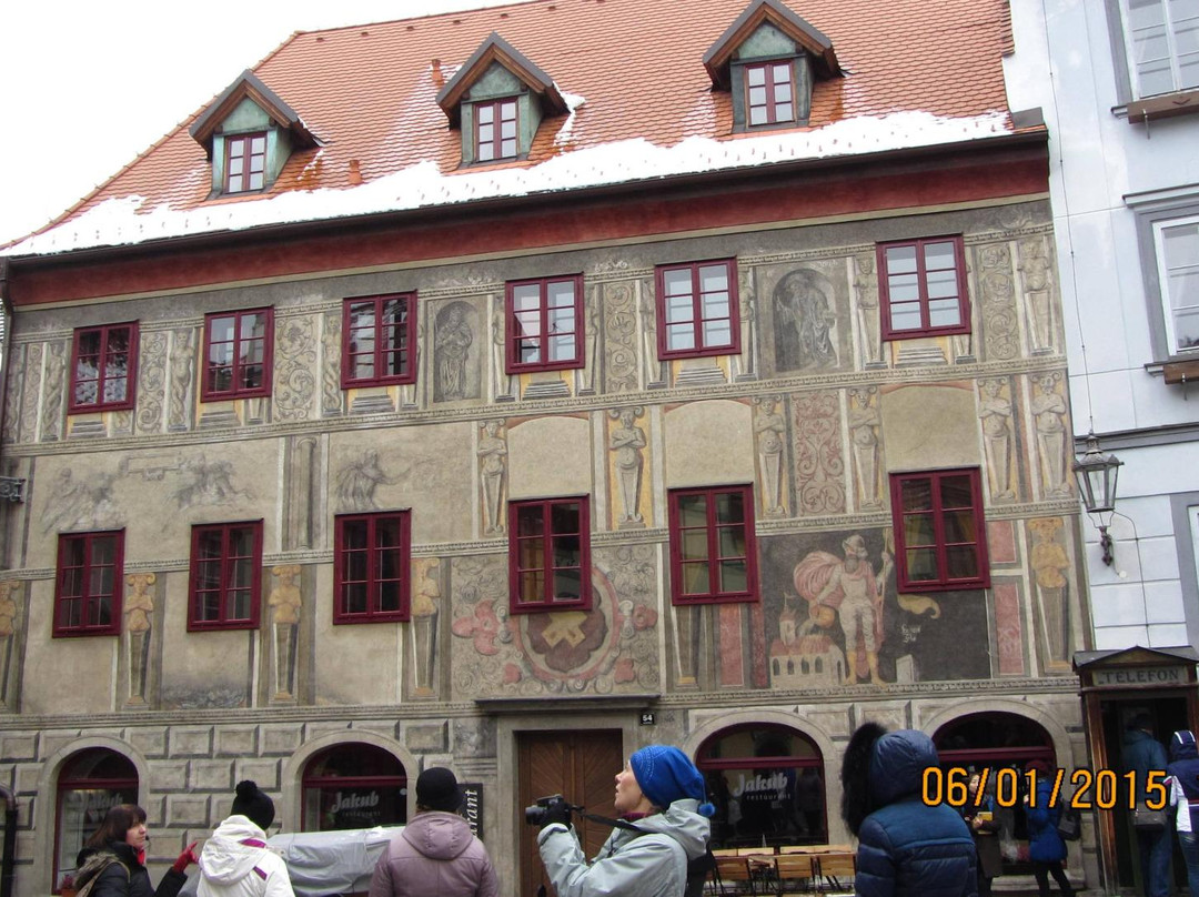 Ronner's House景点图片